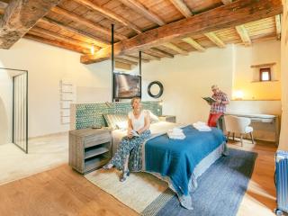 Château historique avec jardin, spa et salle de sport, idéal pour séminaires ou séjours détente - FR-1-426-516 - 6