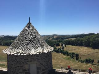 Château du Puech - 9
