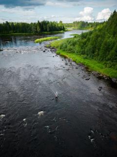 Lapinkoski Salmon Lodges Simojoki - Simoriver - Simo - 2