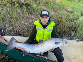 Lapinkoski Salmon Lodges Simojoki - Simoriver - Simo - 4