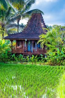 Villa Neyang - Ubud - 3