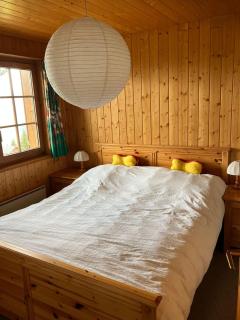 Chalet Pulsatilla - Rosswald - 0