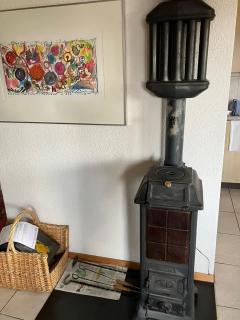 Chalet Pulsatilla - Rosswald - 7