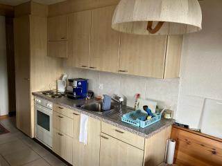 Chalet Pulsatilla - Rosswald - 6