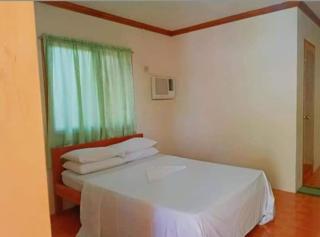 Gold Star Inn - Siquijor - 3