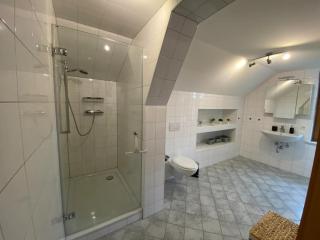 Bodensee Wohnung 3 mit Privatstrand - Gaißau - 5