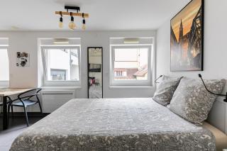 Résidence le premium, hyper centre, studio tout équipé - Strasbourg - 3