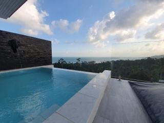 duplex 2 bedroom sea view villa with private pool - 9