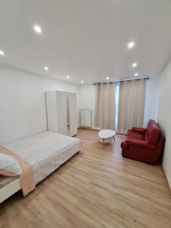 Appartement Spacieux et Rénové - Neuilly-sur-Marne - 1
