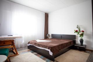 5 Bedrooms Luxury Apartment Villa - Bucareste - 6