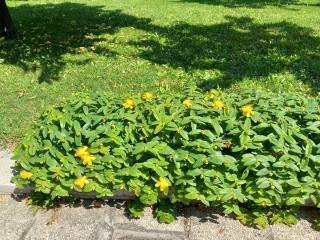 Al sit ed Marino - 6