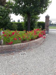 Al sit ed Marino - Castel Maggiore - 5