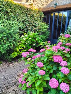 Chambre Hortense - 1