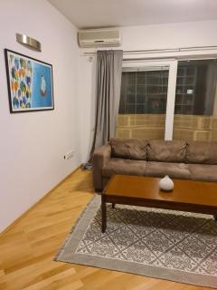 Spacious apartment with own garden and balcony - Skopje - 6