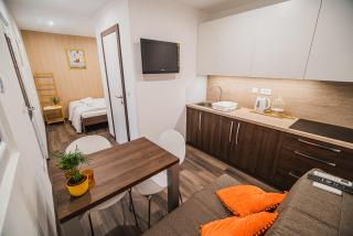 Studio Mobile Home Gotar - Kobarid - 9