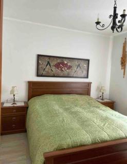 Full Apt x 6 to ski resort 4 km - Villaret - 8