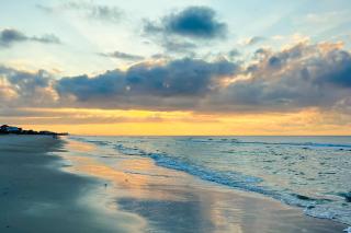 White Lotus: Beachfront Edition - 2