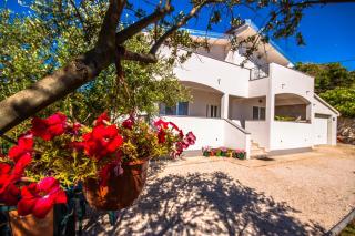 Apartment Green - Zadar - 0