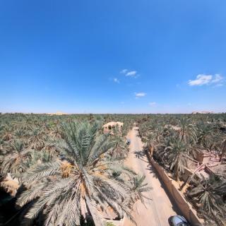 Siwa star - 0