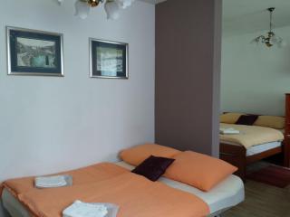 Guesthouse Vila - 2