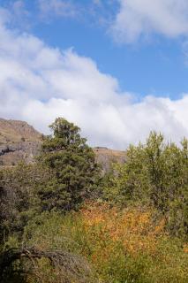 Cabaña en la montaña: La Cascada - San Martín de los Andes - 1