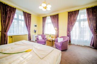 Hotel Veba - Broumov - 5
