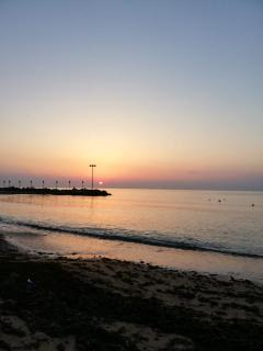 GELSOMINO - Levanto - 9