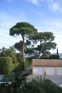 Casa del mare - magnifique appartement vue mer - La Seyne-sur-Mer - 5