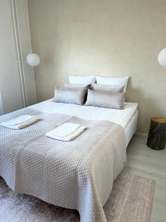 Arctic Luxury Apartment - 2