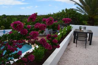 Saint Joris a tiny Boutique Resort - Willemstad - 6
