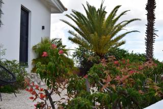 Saint Joris a tiny Boutique Resort - Willemstad - 7