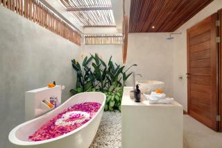 Aurora Wonderland - 8