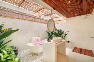 Aurora Wonderland - 3