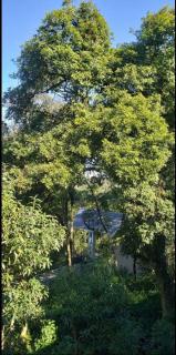 Casa lugar tranquilo até 6 pessoas - Gramado - 2