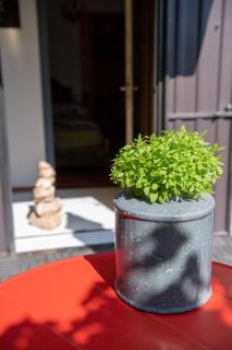 Casa Vacanze Zummer Frei Studio - 2