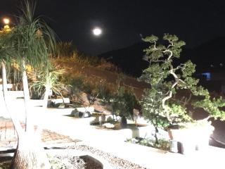 Bonsai Homestay Kluang - Meranti - 4