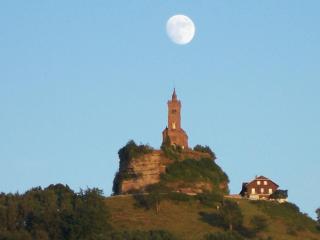 Logis Hotel & Restaurant - Les Vosges - Dabo - 4