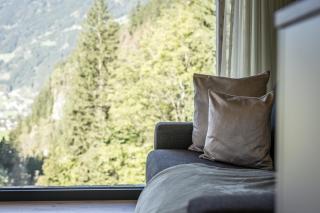 Natur Zeit - Alpine Garden Apartments - Mayrhofen - 6