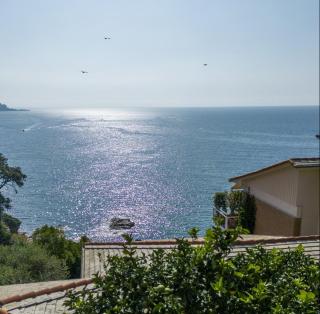 A due passi da Camogli Near to Camogli, apartment with terrace and seaside view - 9