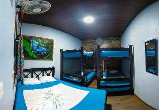 Hostel Tortuguero 7BackPackers - Tortuguero - 9