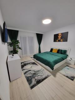Apartament Ariana Rasnov - 1