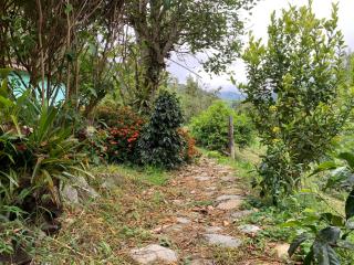 URKU ALLIPACHA FINCA ORGÁNICA CASA DE CAMPO - 6