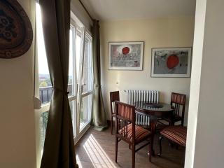 Vintage Delight Apartment Vracar Hram Sv Save - Belgrade - 4