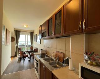 Vintage Delight Apartment Vracar Hram Sv Save - Belgrade - 2