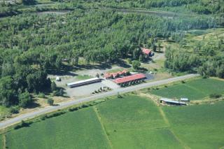 Redwood Arms Motel - 7