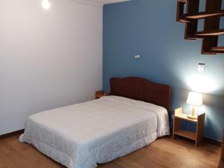 Duplex rénové 3 pièces avec jardin, parking et animaux admis à Chamonix - FR-1-517-25 - Chamonix - 1
