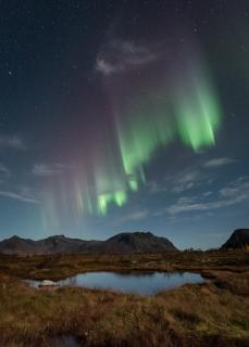 Artic Lyngvær Luggombu Lodge with jacuzzi - 8