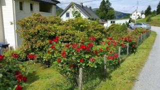 Feriehus Voldstad - 4