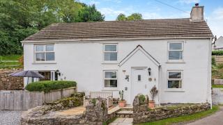 Frog Cottage - 9