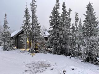 Mountain Holiday Homes - Ottsjö, Trillevallen -Sweden - 5